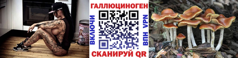 Купить Краснообск Галлюциногенные грибы Magic Shrooms